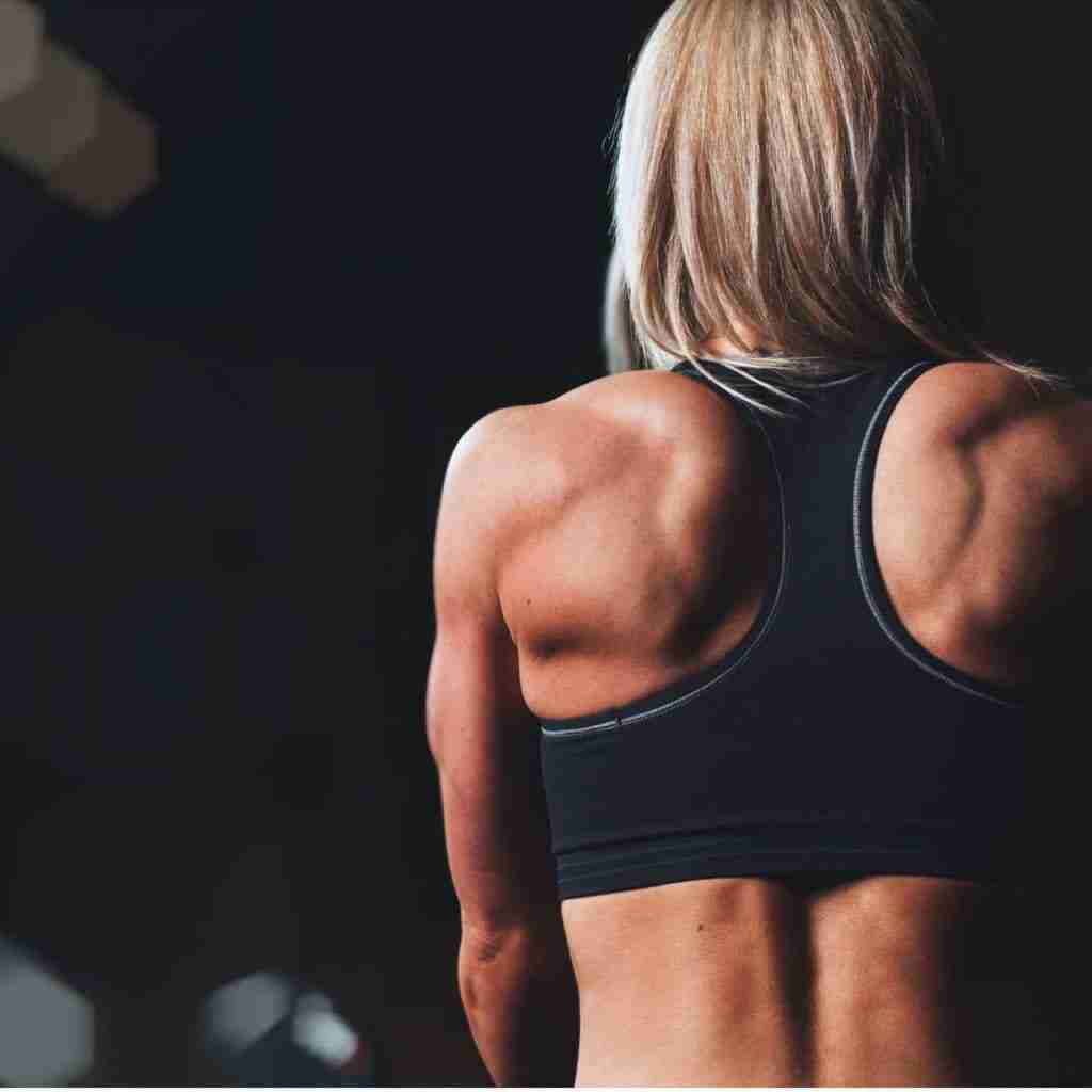 Build muscle with  creatine 