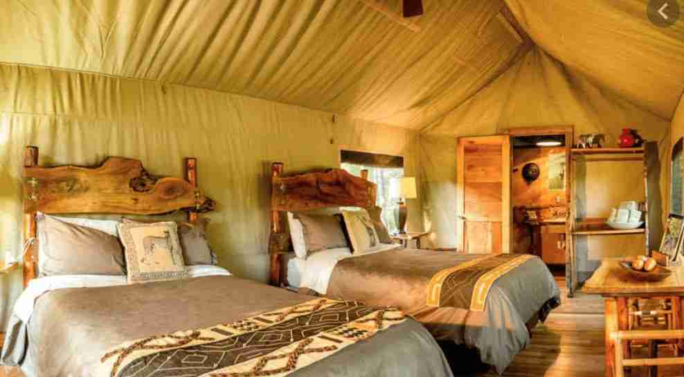 Safari West Tent