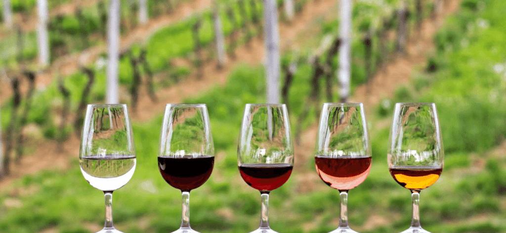 row of wine glasses with different wines. Buying wine is similar to buying coffee beans