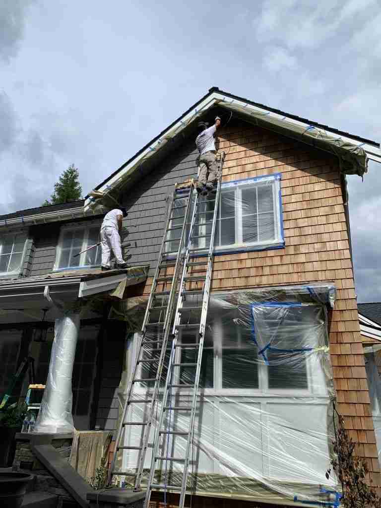 Gray EXTERIOR PAINT