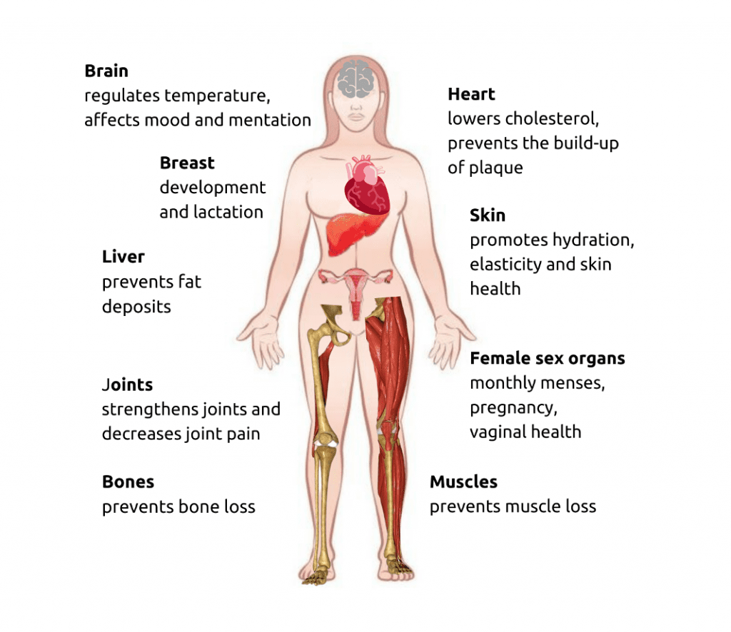 Women's Body Diagram- HRT AND EFFECTS