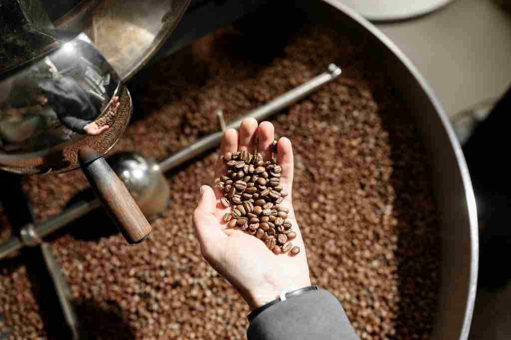 Young specialist worker is roasting coffee in hangar