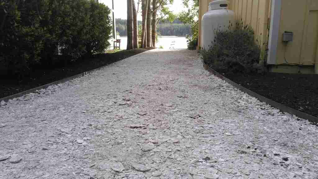 Image of a crushed shell driveway 