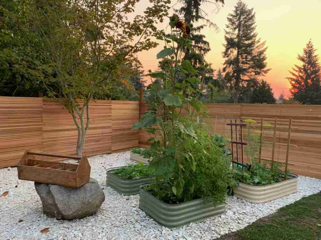 11 Reasons To Use Crushed Oyster Shell In Your Landscape – Gal Pal