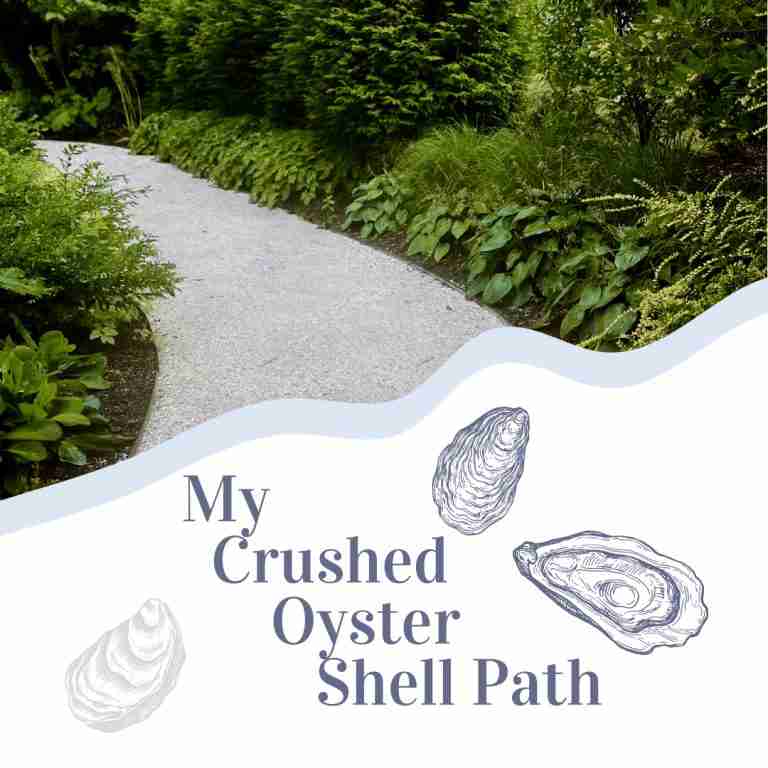 My New Sustainable Coastal Crushed Oyster Shell Garden Path