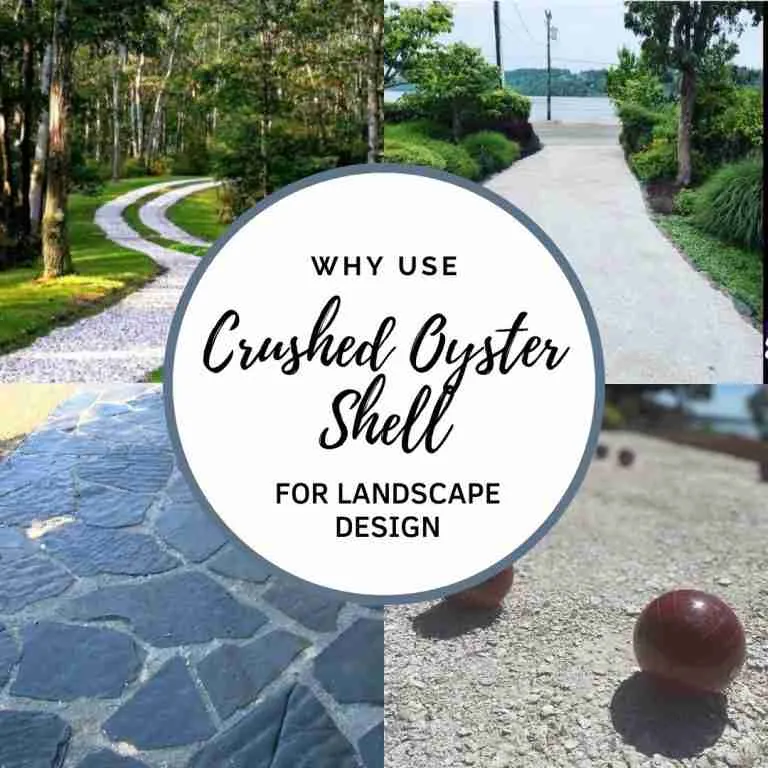11 Reasons To Use Crushed Oyster Shell In Your Landscape
