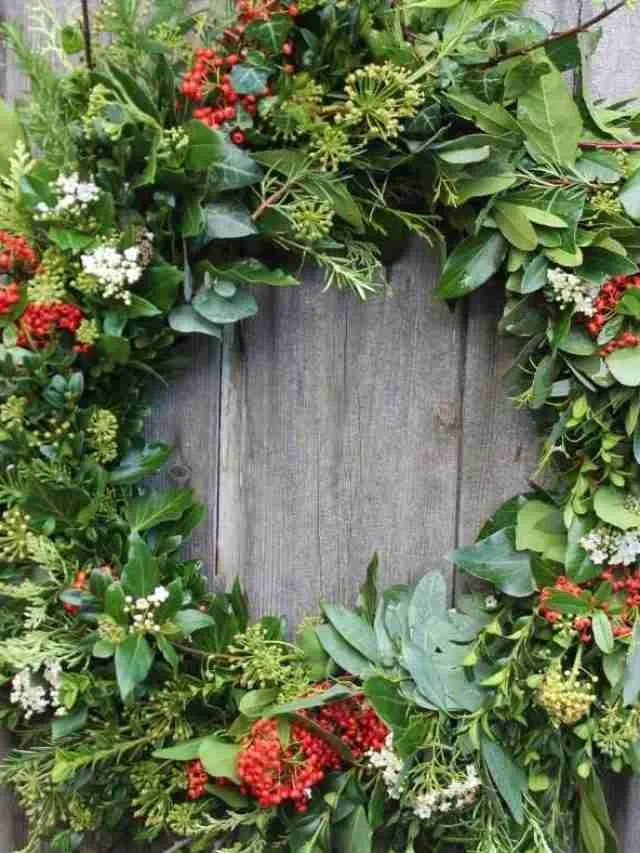 How To Make A Fresh Evergreen Green Wreath