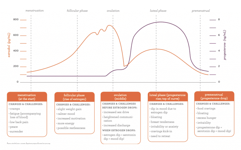 Menstruation, Follicular, ovulation & luteal phase