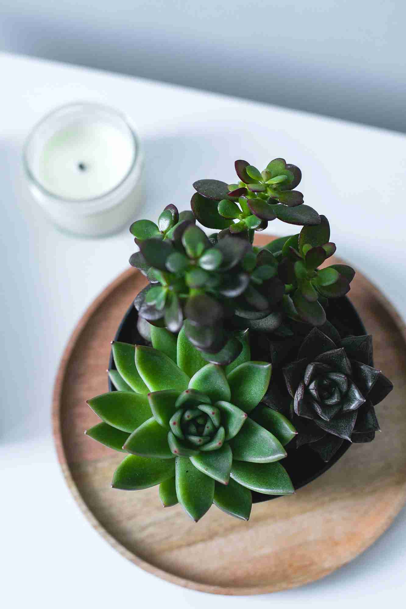 Tiny succulents and candle on bedside table in the bedroom in scandinavian style home