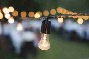 Decorative outdoor string lights hanging on a tree in the garden at night