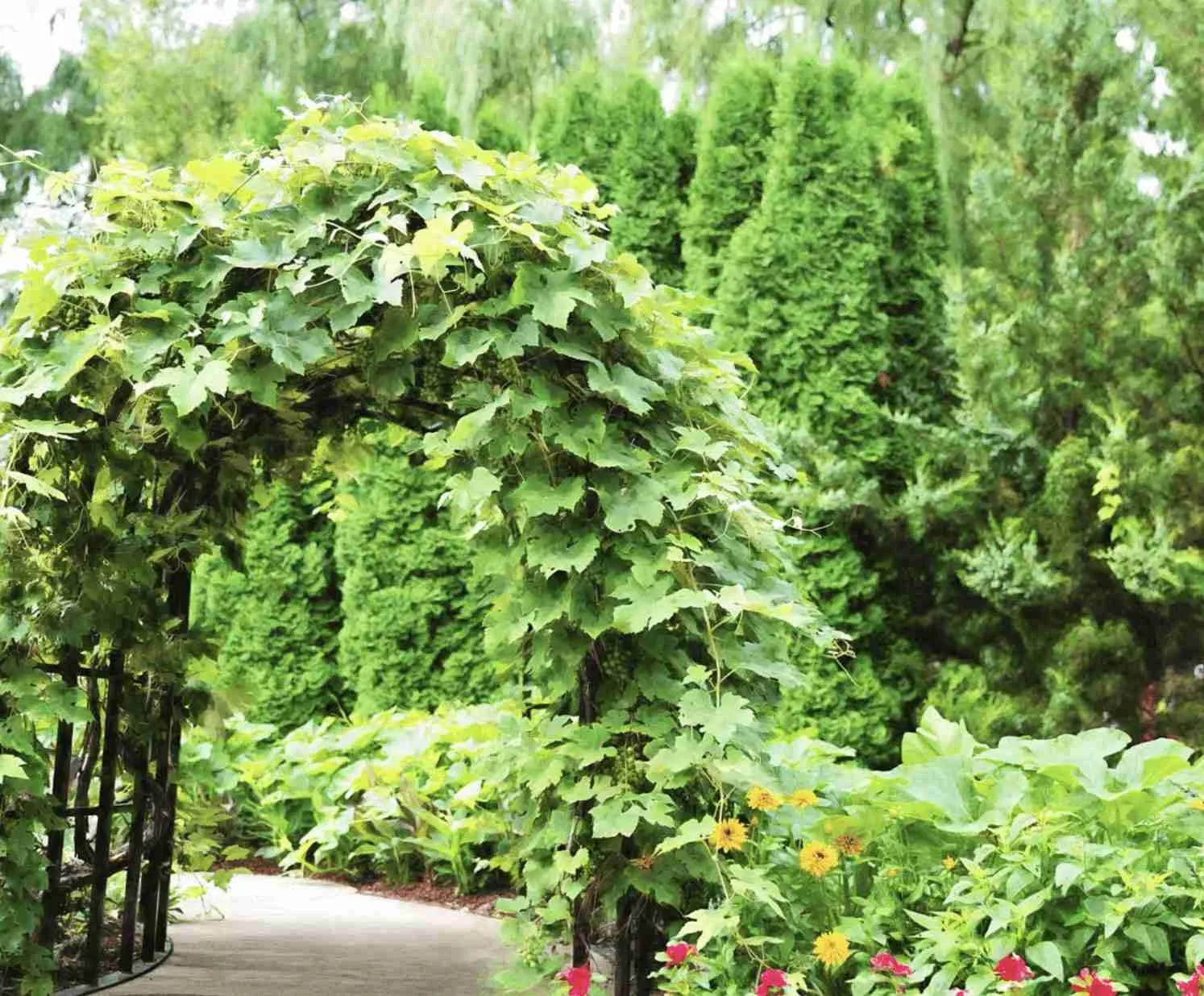 Green Garden Arbor