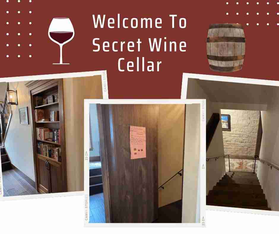 Secret DIY wine cellar tour wine room design guide Gal Pal Lifestyle