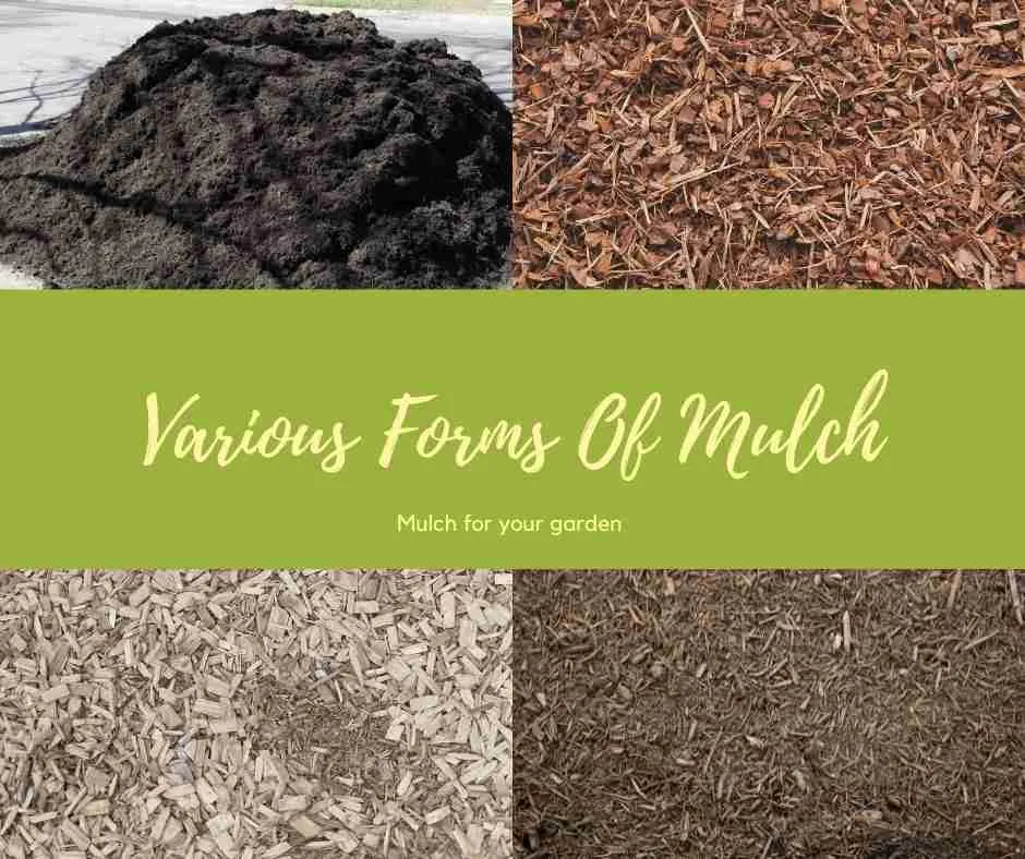 types of mulch