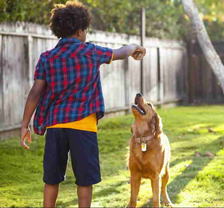 5 Games for Kids to Play With Their Dogs at Home.