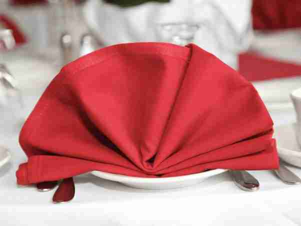 Fan folded napkin 