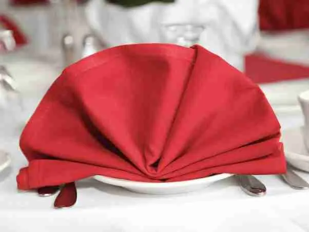Fan folded napkin 