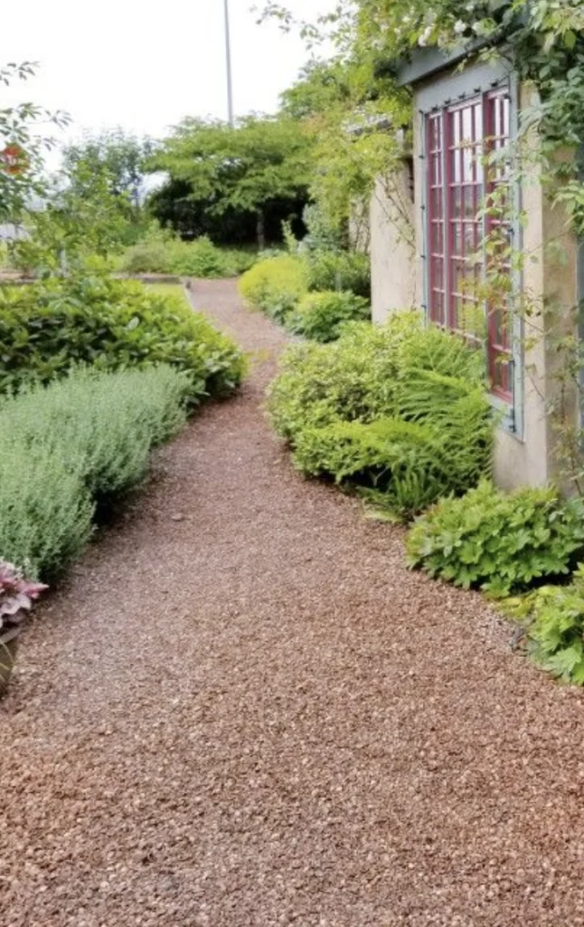 Hazelnut pathway