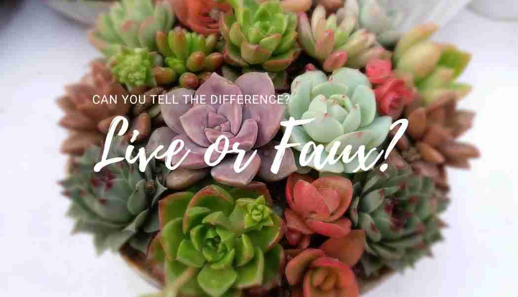 Easy DIY perfect faux succulent arrangementtutorial Gal Pal Lifestyle