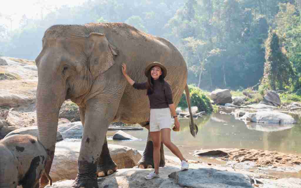 A female traveler with the mother and baby elephants in the forest