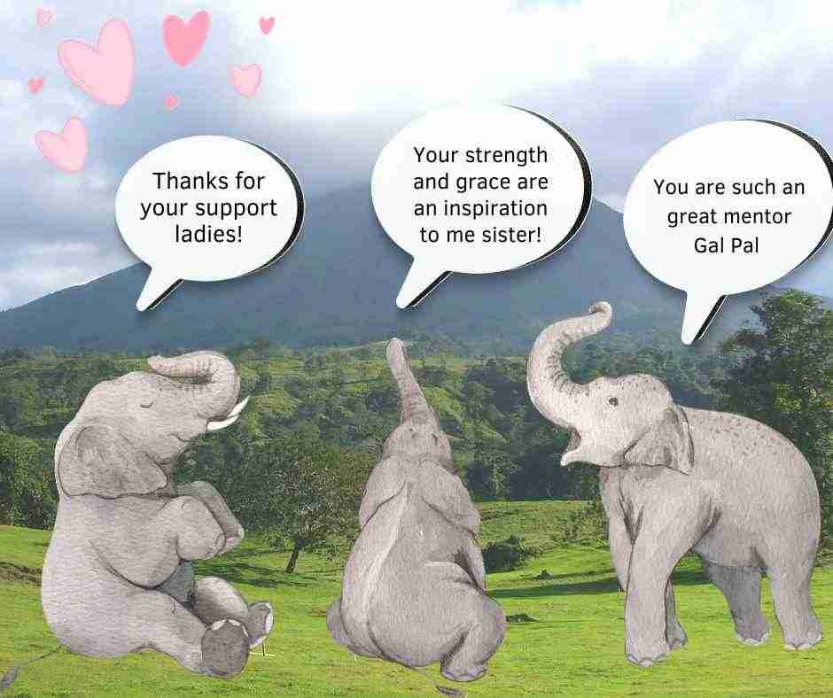 Cartoon ot three female elephants talking together elephant tribe These three elephants are sister elephants. A female celebration. 