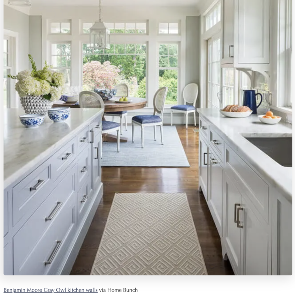 Benjamin Moore Gray Owl Paint Color in Kitchen