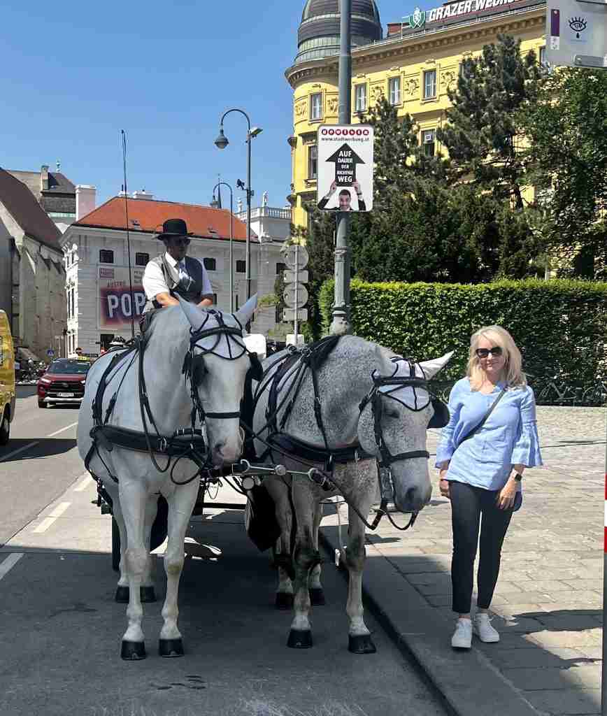 Vienna horse carriage rides