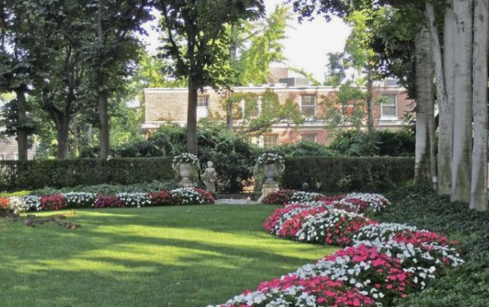 impatients in front of boxwoods