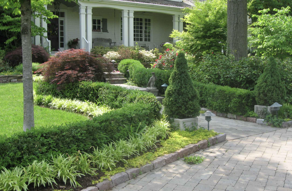 Liriope Muscari and boxwood border