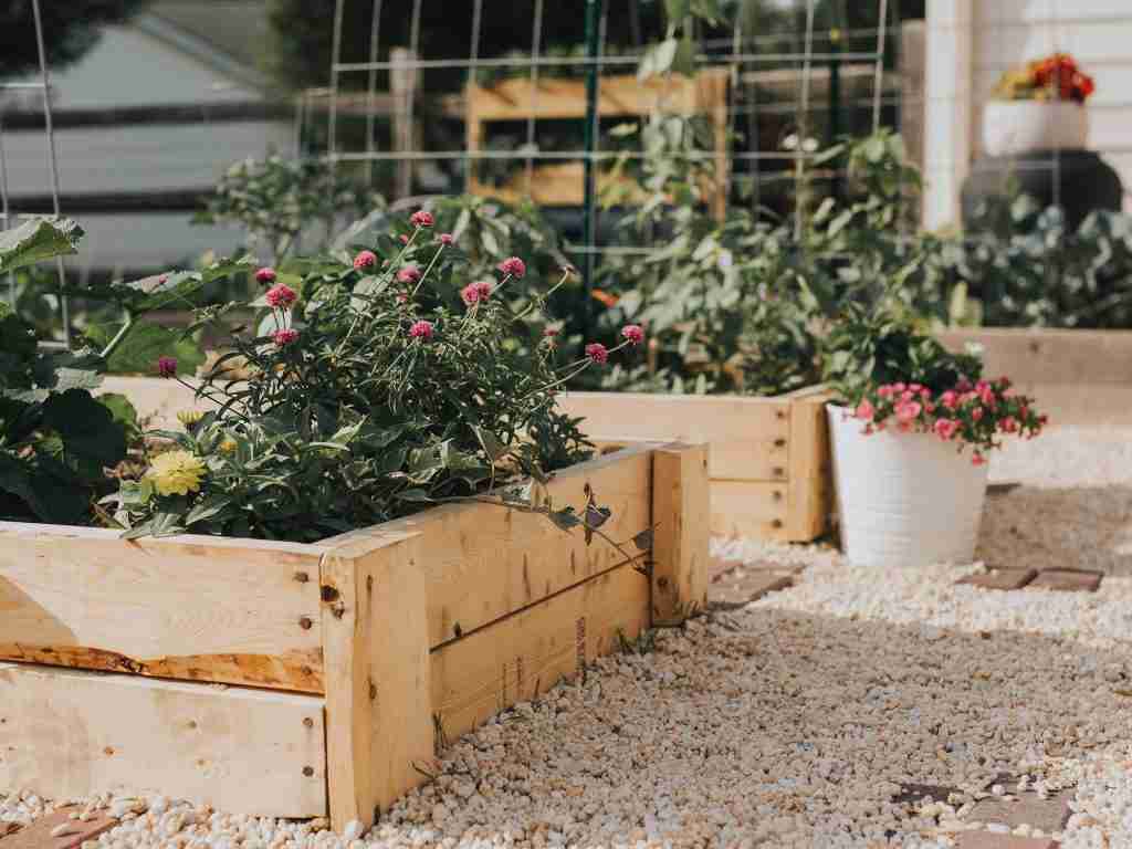 Gardening at home with sustainable materials with crushed oyster shell