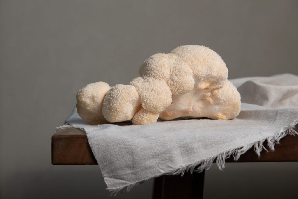 Closeup shot of white Lion's mane mushrooms on a white cloth placed on a wooden table