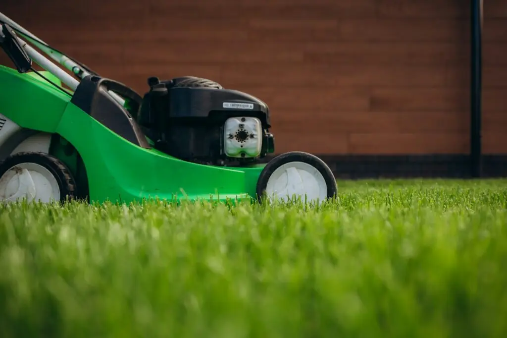 Close up of mower cutting the grass.