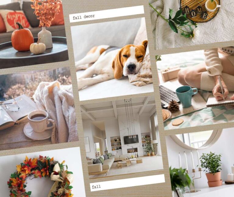 fall decor- ORGANIZE AND DECLUTTER