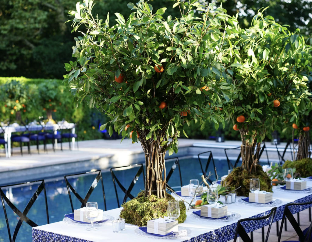 Orange Tree Centerpieces