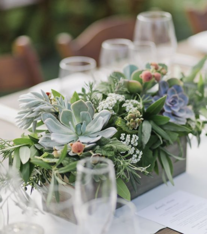 succulent centerpiece ideas