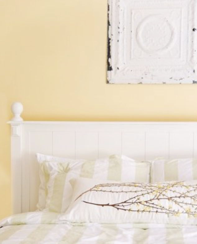 Benjamin Moore Suntan Yellow