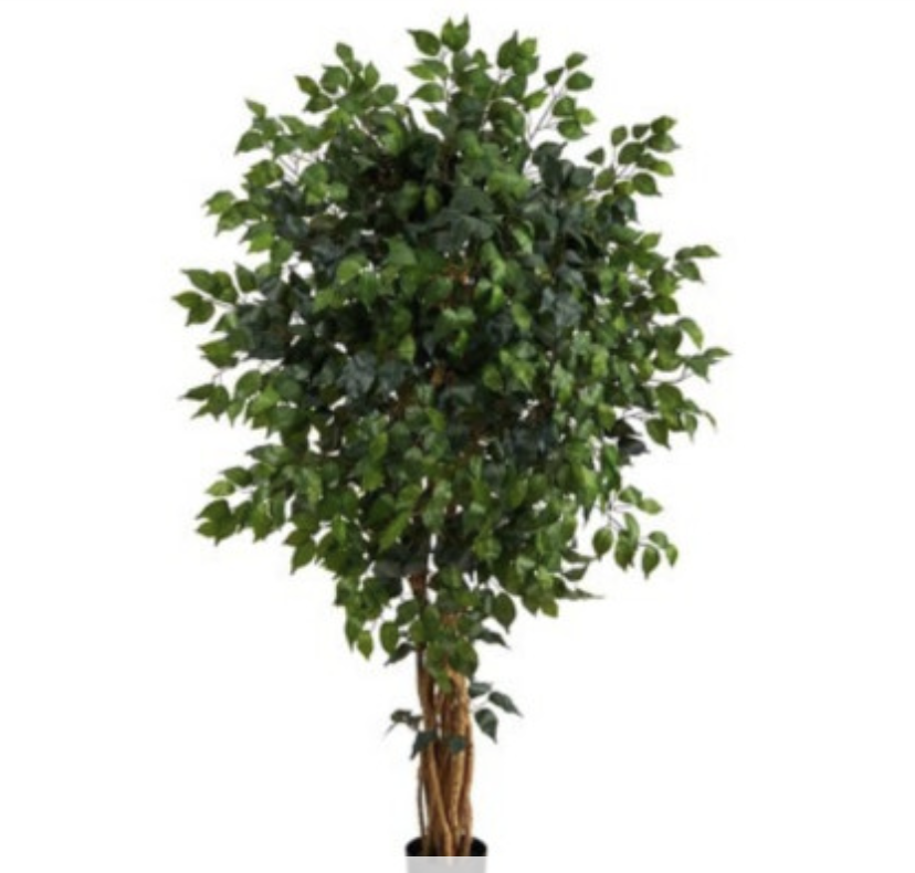 REALISTIC FICUS TREE