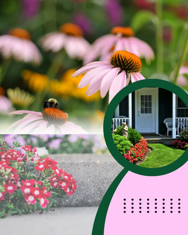 LOW MAINTENANCE PLANTS FOR CURB APPEAL