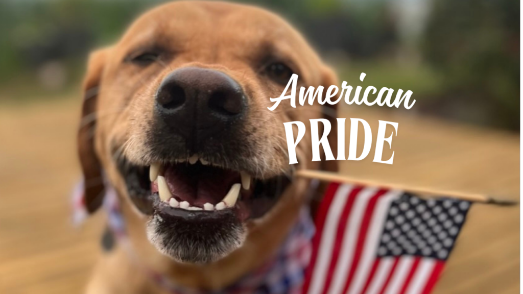 How to ignite american pride within the people