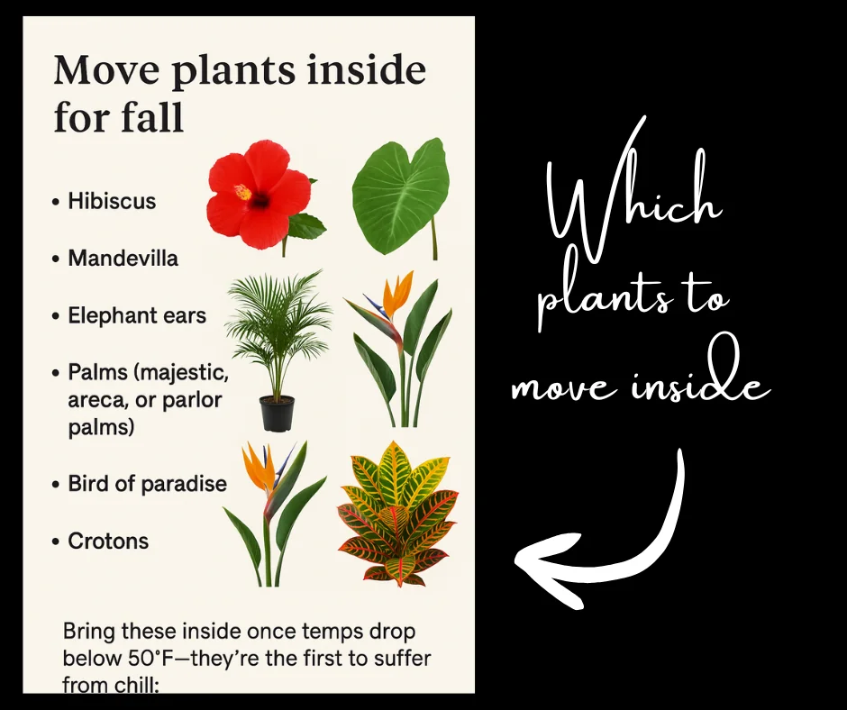 Fall gardening checklist 