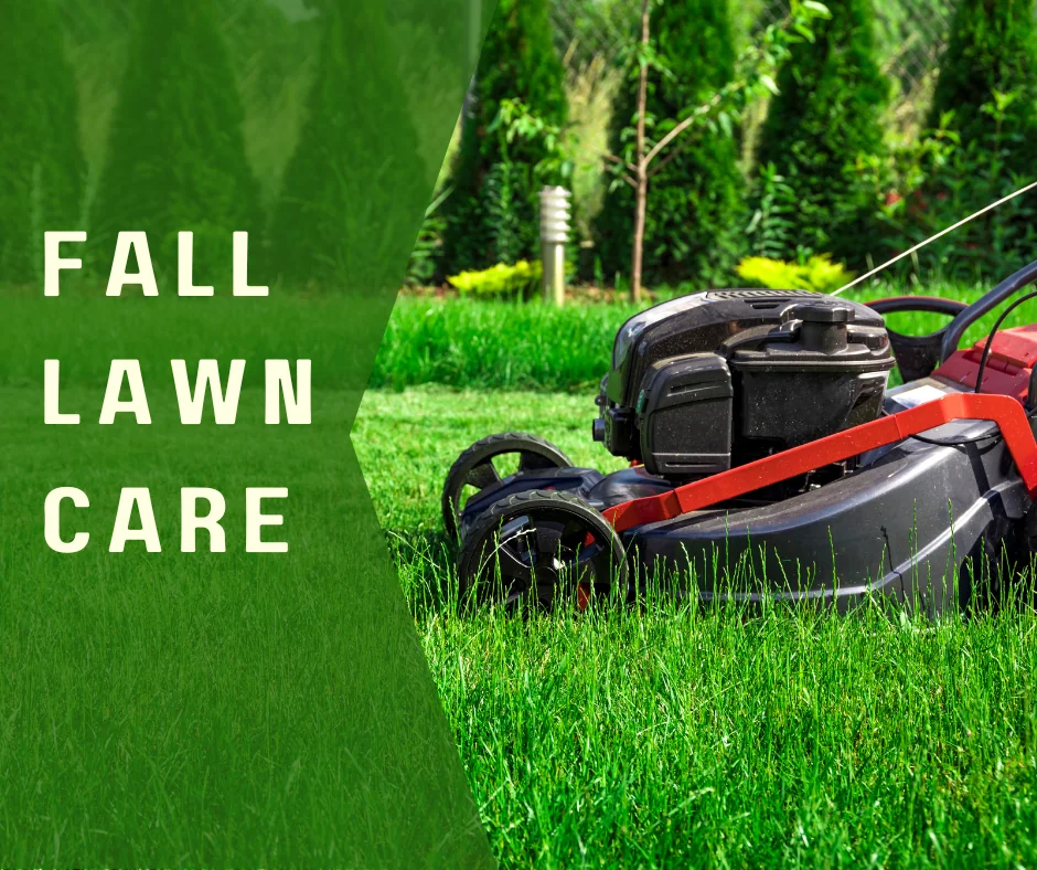 Fall Lawn Care Tips