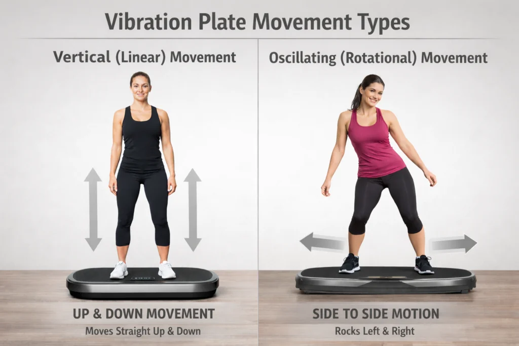Types of movement for vibration plates