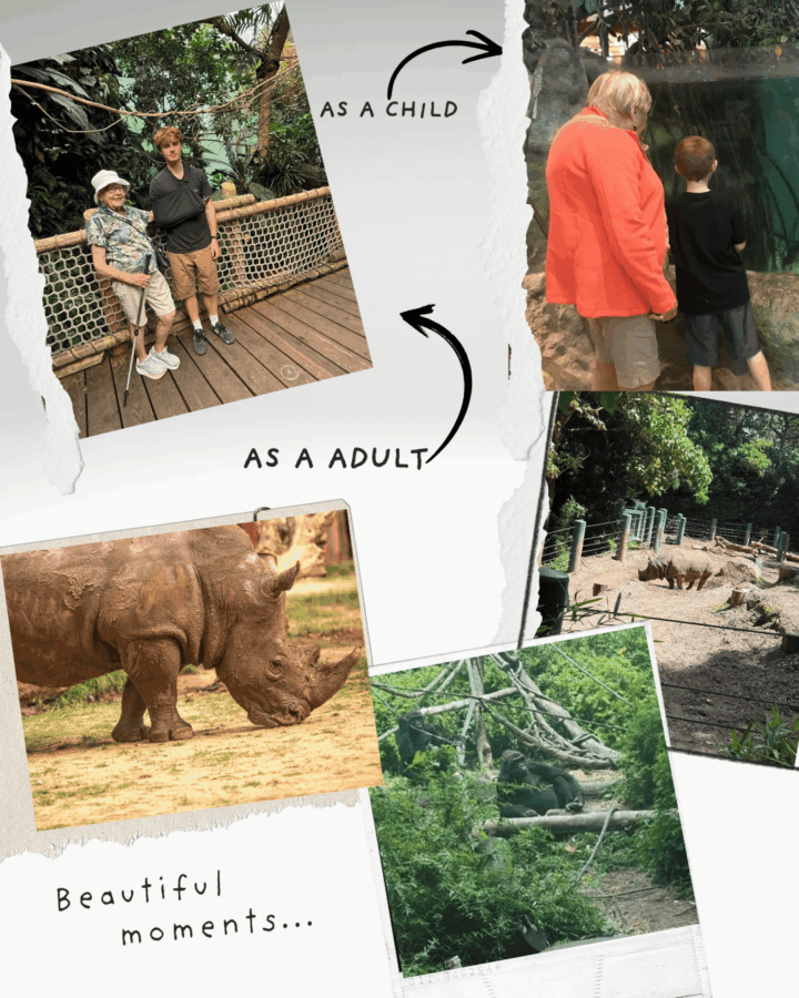 building memories with your children
